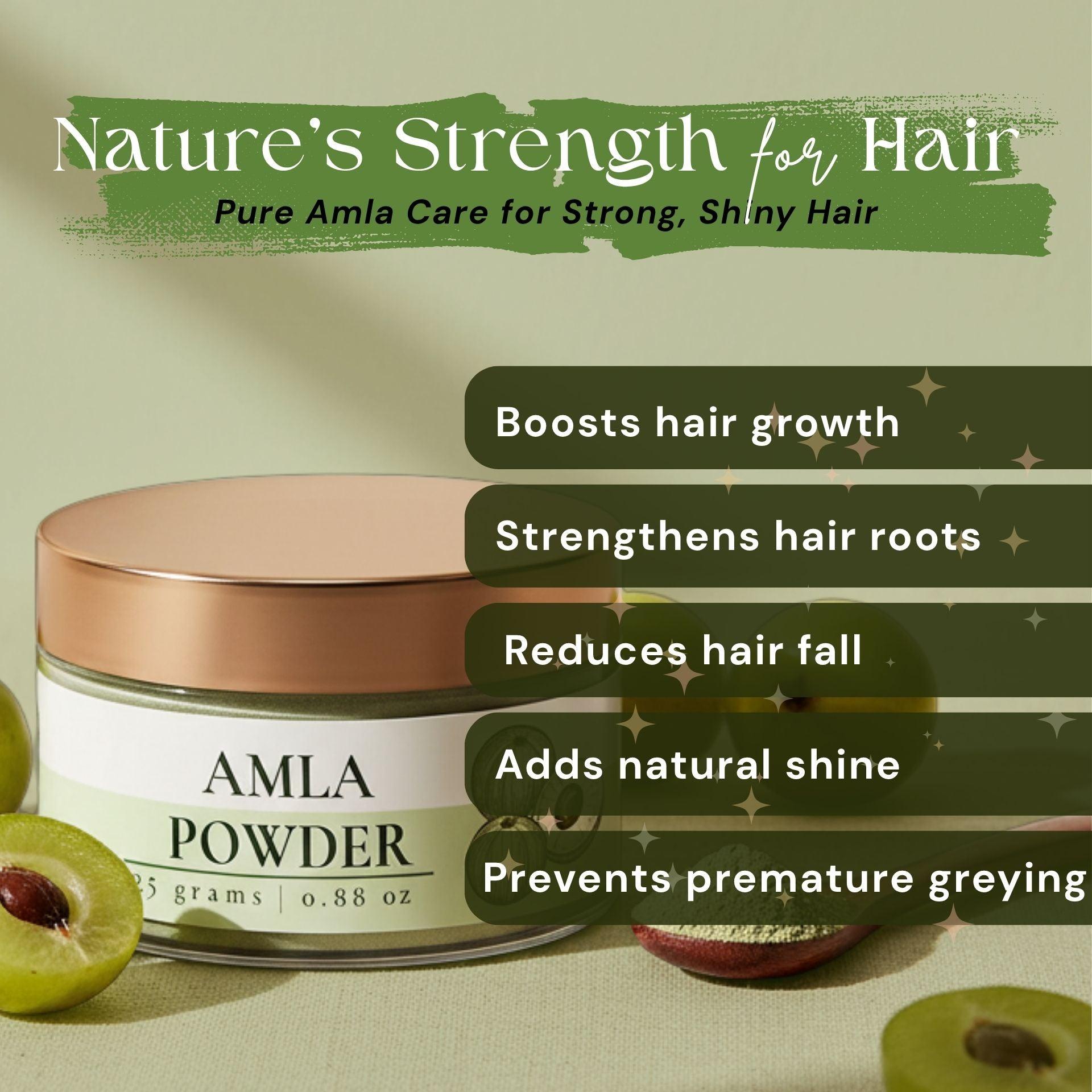 Lushr Amla Powder — Pure Indian Gooseberry for Hair Growth | 25g - LUSHR